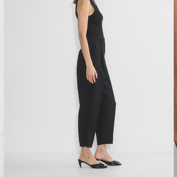 Aritzia Black Carrot Pants - Picture 2 of 16